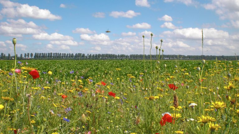 Duurzaamheid in beeld, via  pilots in Zuidwest Nederland en Drenthe