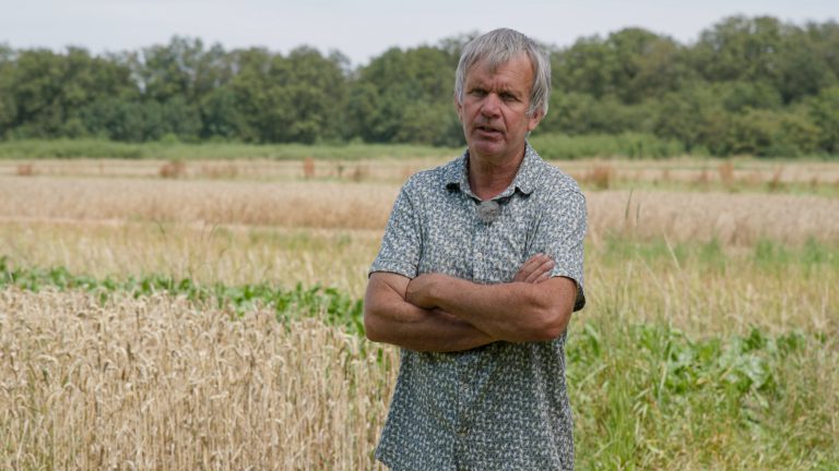 Eugène van den Eijnden: Strokenteelt op de Natuurakker in Steenbergen