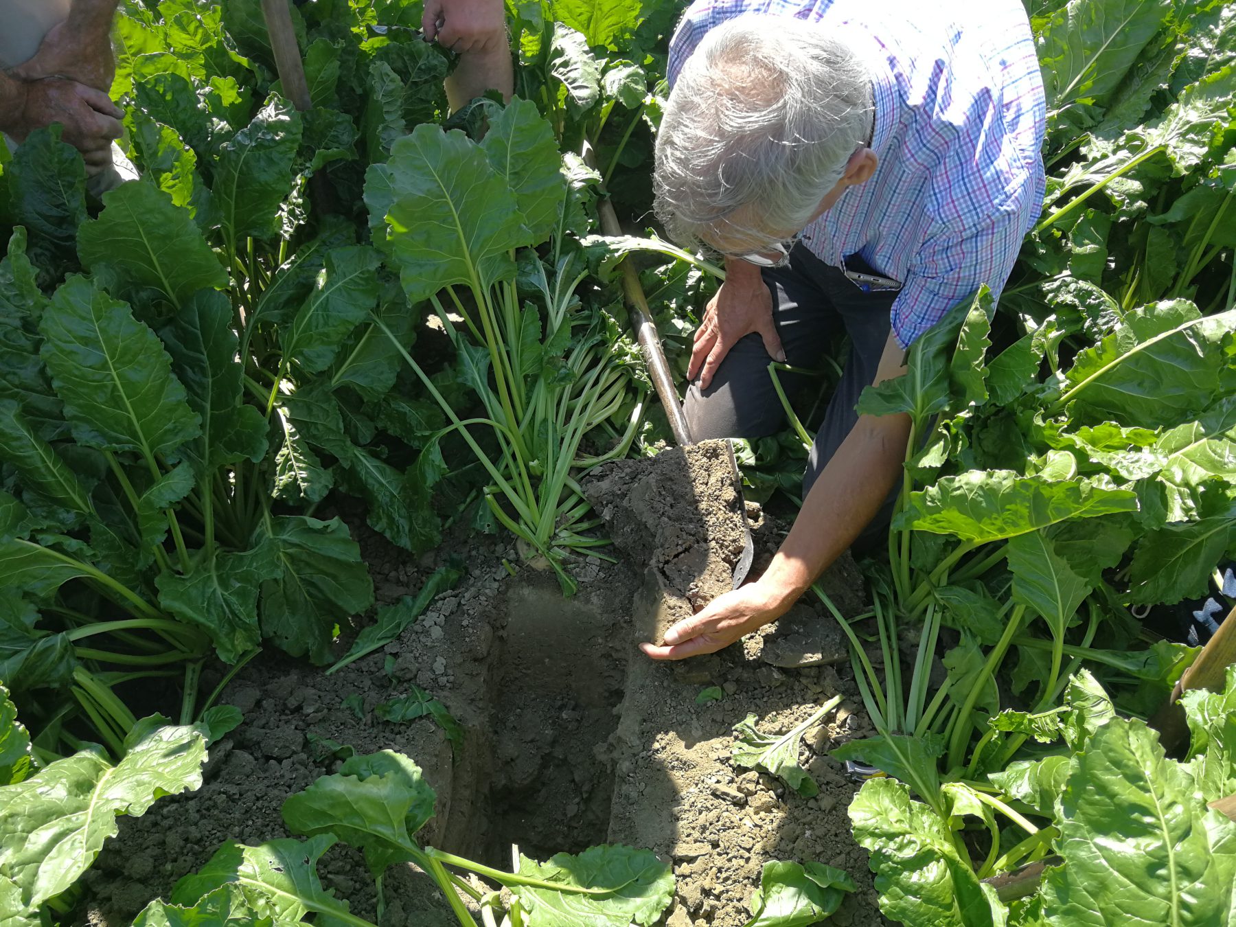 Vernieuwde handleiding Bodemconditie