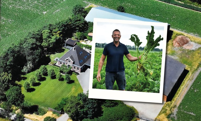 Cok Bos: over groenbemesterbeheer en werken met uitdagende bodemstructuur