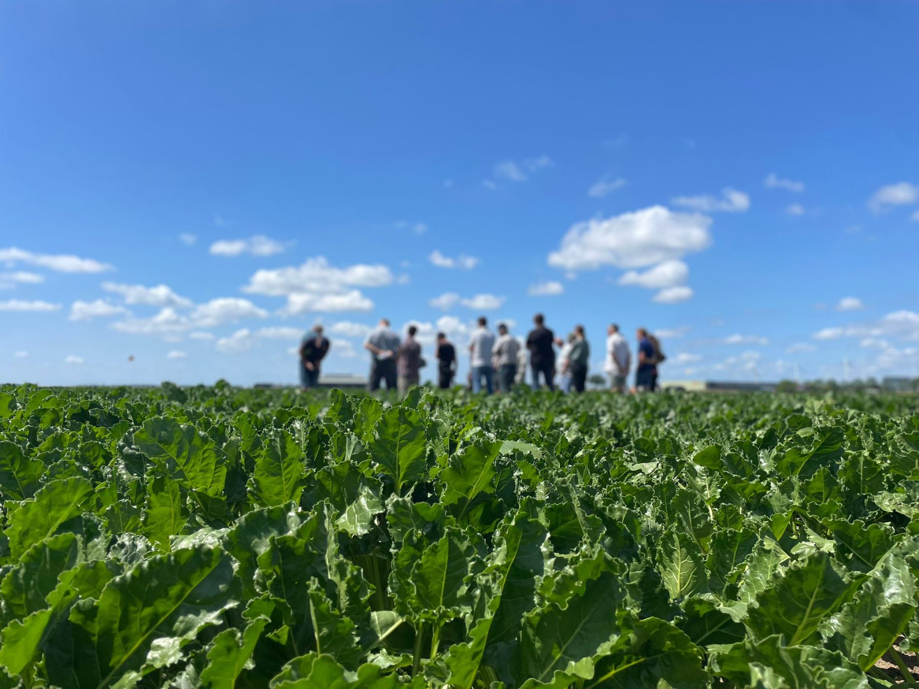 Inspiratieboerderijen 2026