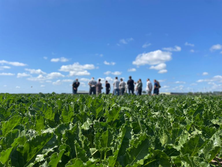 Inspiratieboerderijen 2026