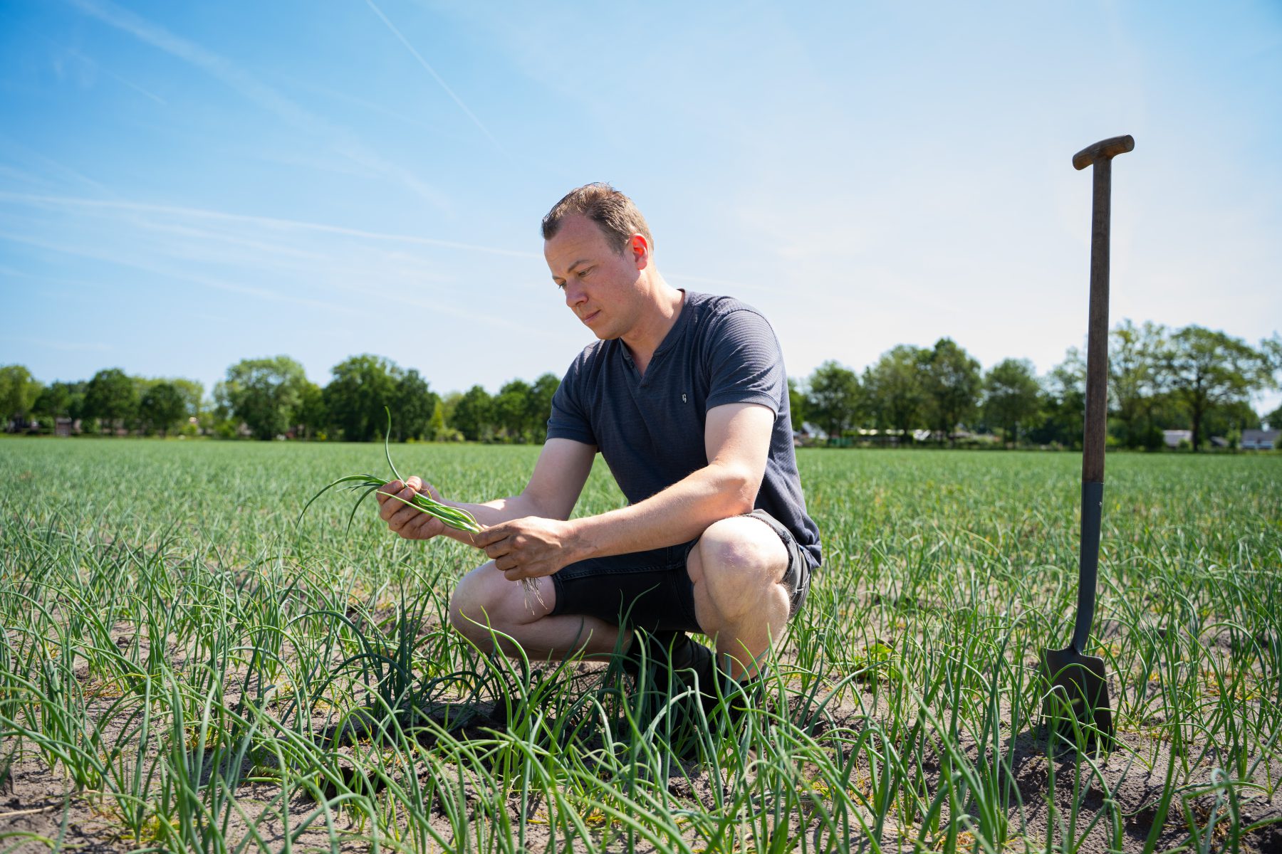 Doe mee aan de Biodiversiteitsmonitor Akkerbouw Zuidwest