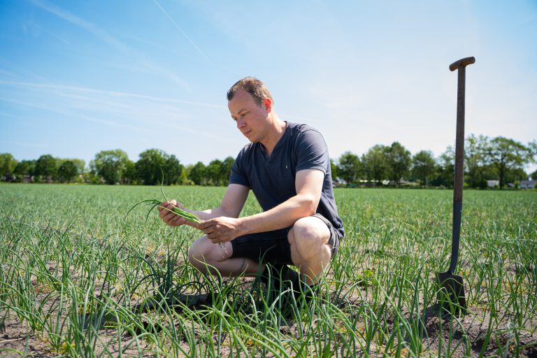 Doe mee aan de Biodiversiteitsmonitor Akkerbouw Zuidwest